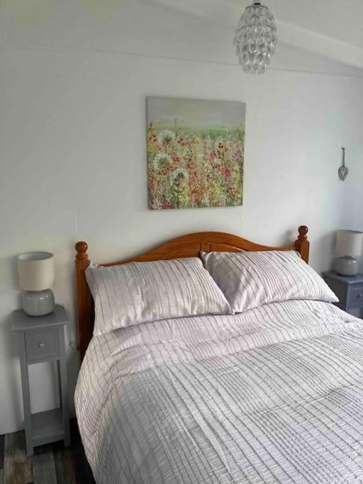 Cwtch Cymru Lodge 7F Caer Beris Holiday Lodge Park Builth Wells Zewnętrze zdjęcie